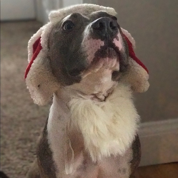 Meet your Posher, Janelle - Picture 1 of 1